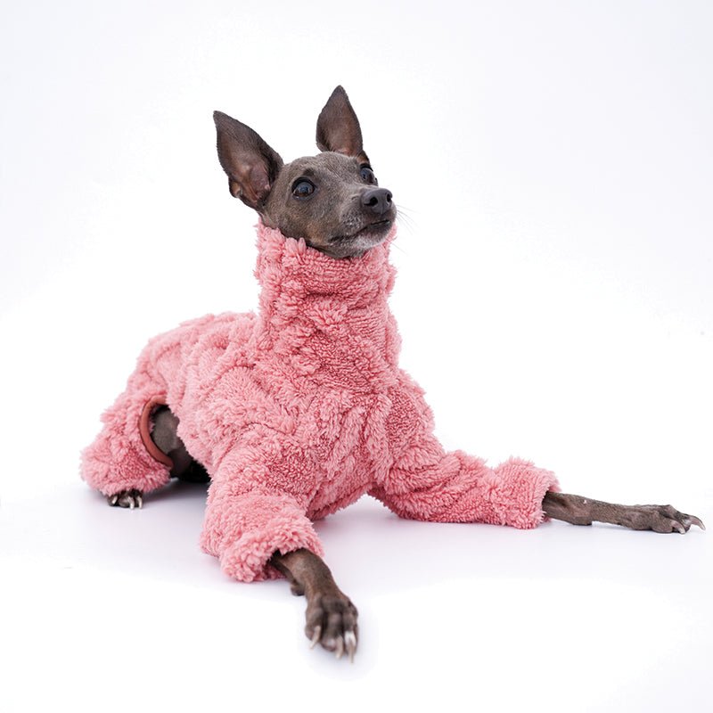 Plush Fleece Italian Greyhound Dog Onesie