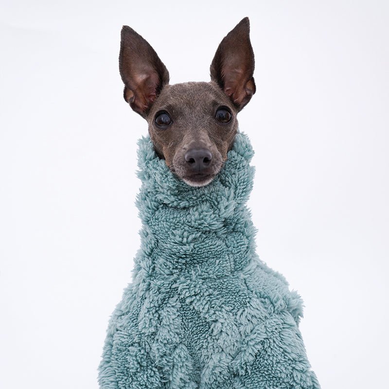 Plush Fleece Italian Greyhound Dog Onesie