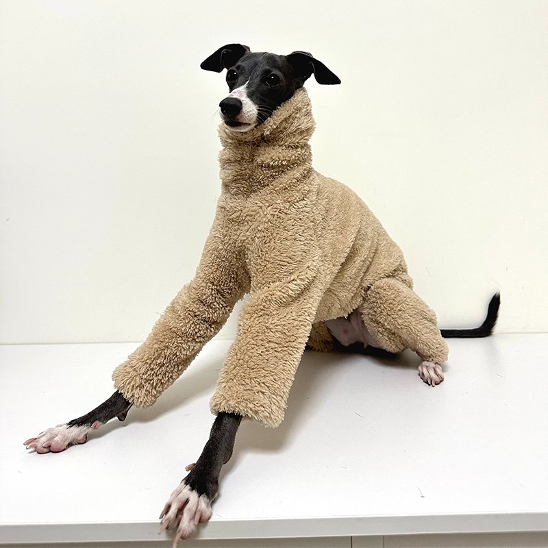 Winter Plush Fleece Italian Greyhound Jumpsuit