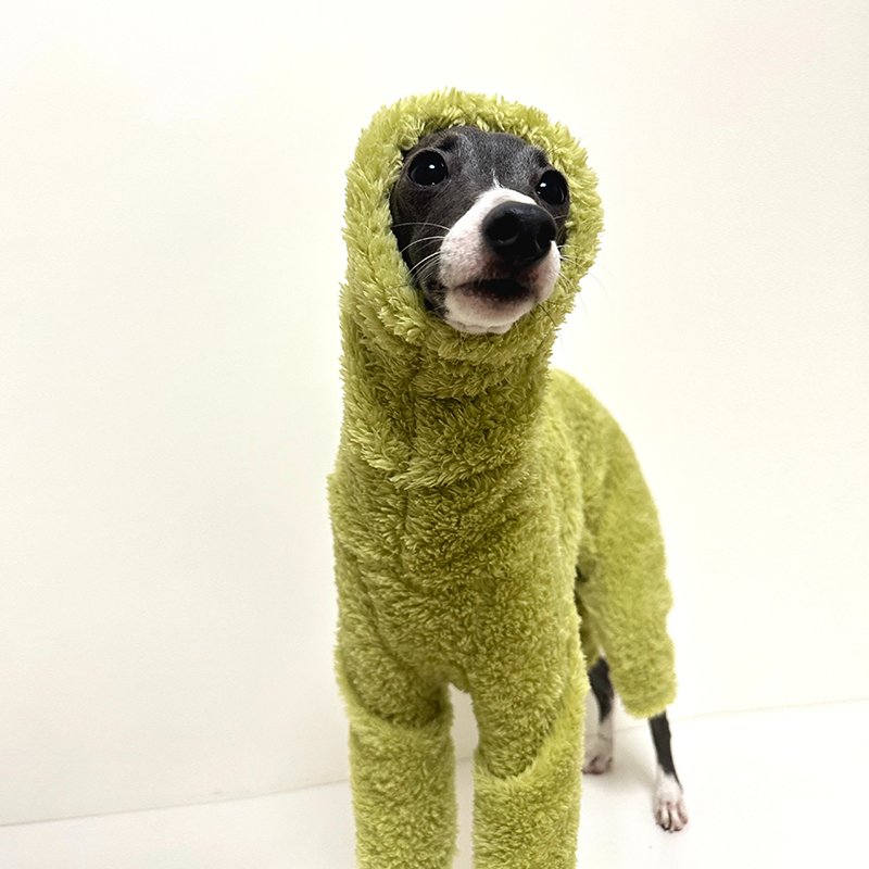 Warm Plush Italian Greyhound Dog Jumpsuit