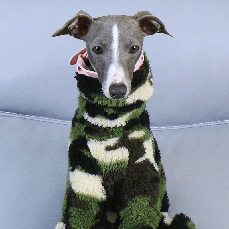Warm Fleece Italian Greyhound Dog Onesie