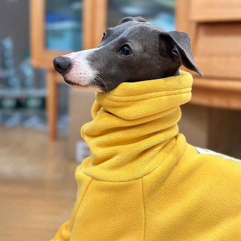 Luxurious Fleece Italian Greyhound Onesie