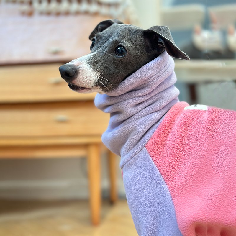 Luxurious Fleece Italian Greyhound Onesie