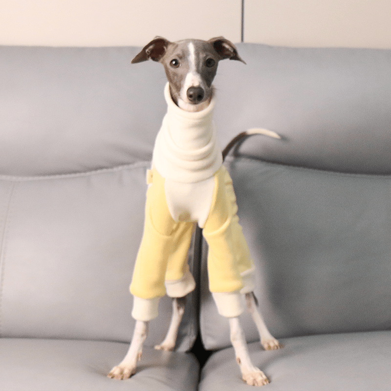 Warm Fleece Italian Greyhound Onesies