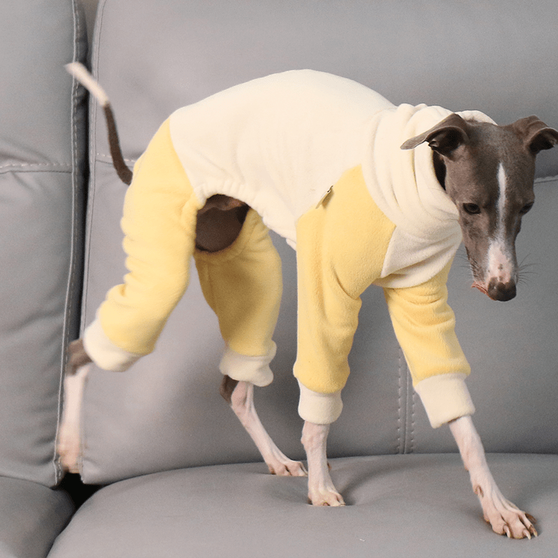 Warm Fleece Italian Greyhound Onesies