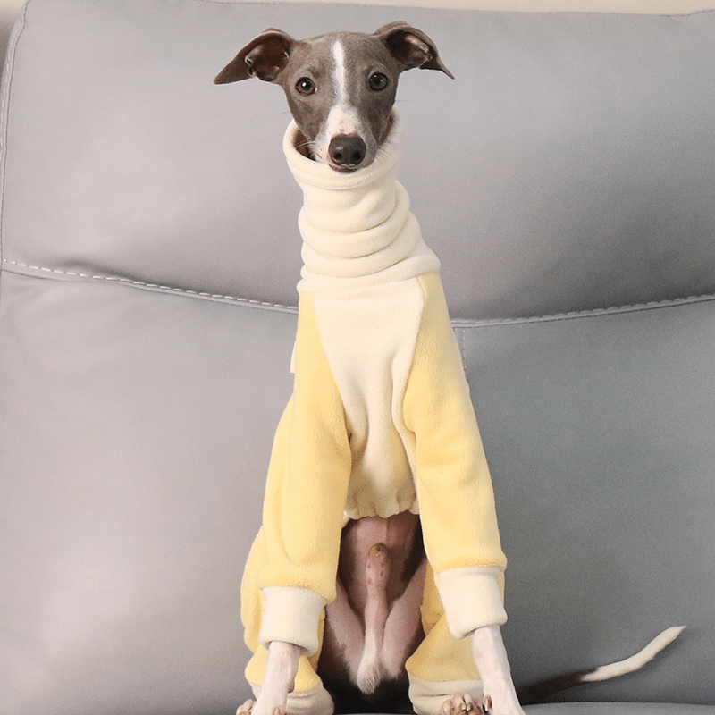Warm Fleece Italian Greyhound Onesies
