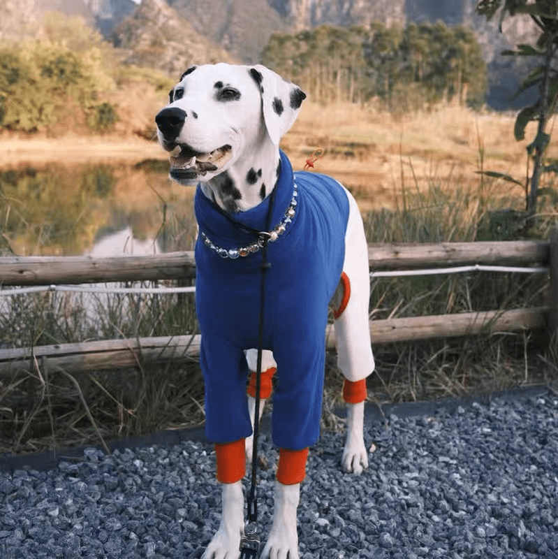 Warm Fleece Italian Greyhound Dog Onesies