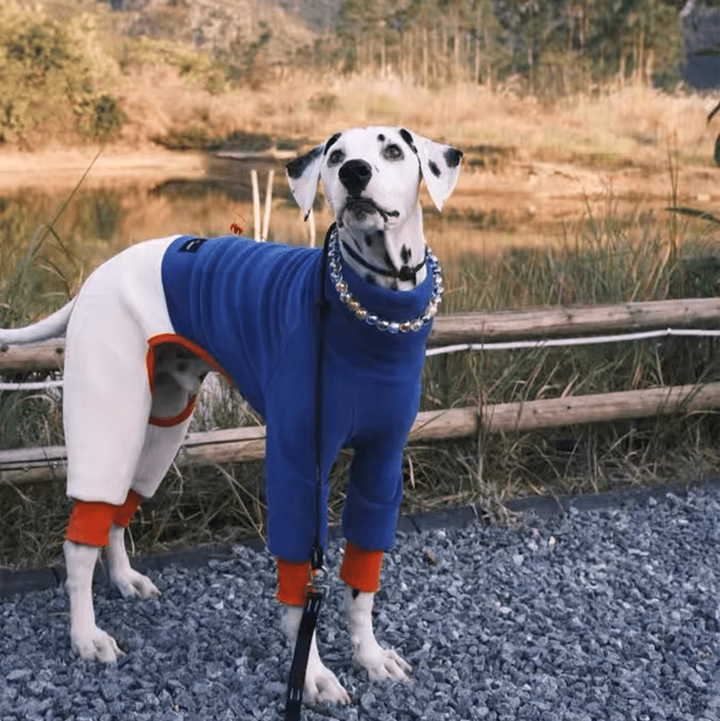 Warm Fleece Italian Greyhound Dog Onesies