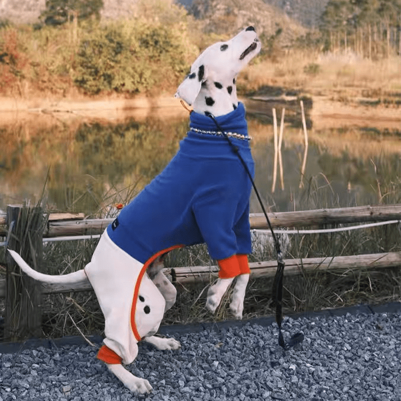 Warm Fleece Italian Greyhound Dog Onesies