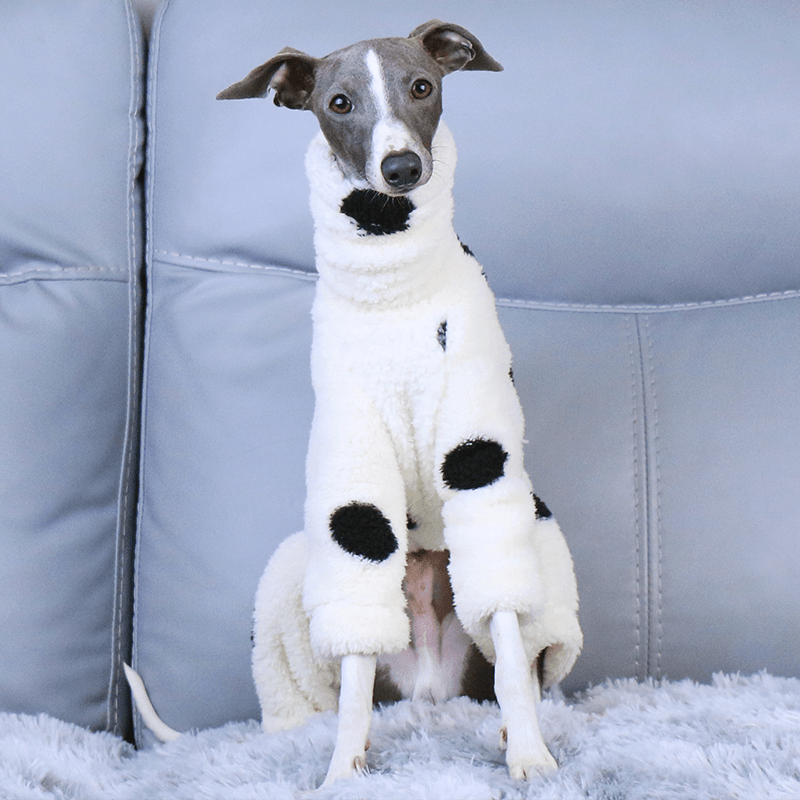 Winter Fleece Italian Greyhound Onesie