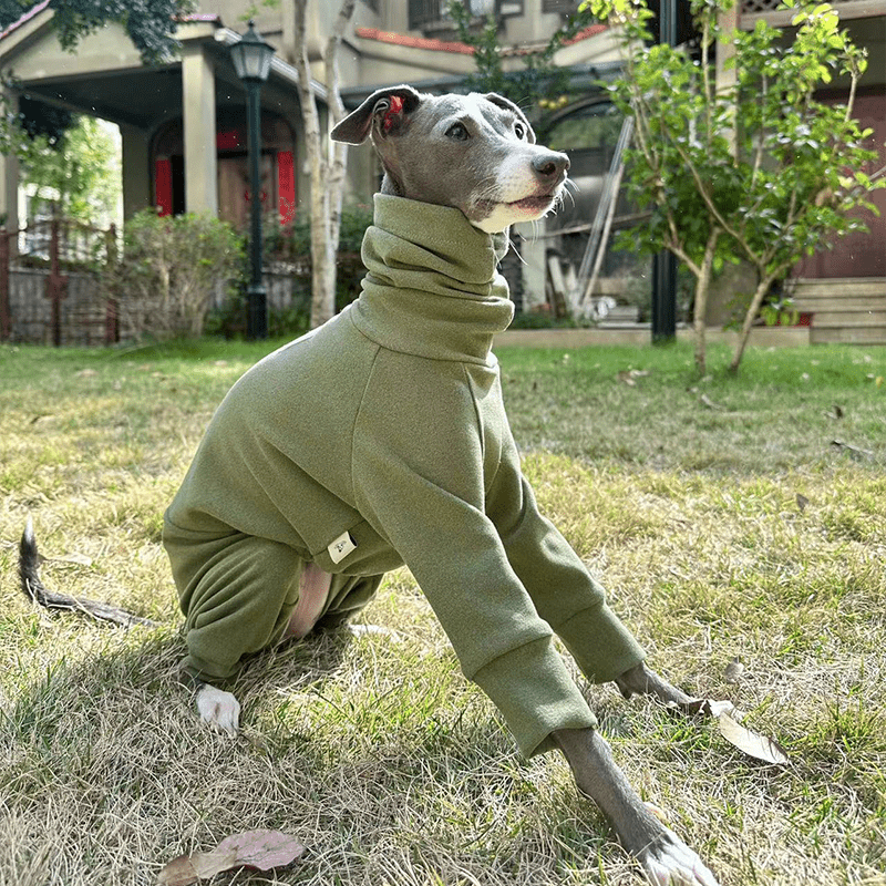 Warm Fleece Italian Greyhound Onesies