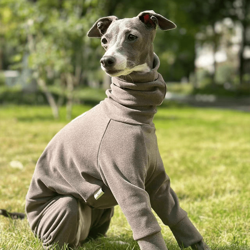 Fleece Warm Italian Greyhound Dog Onesies