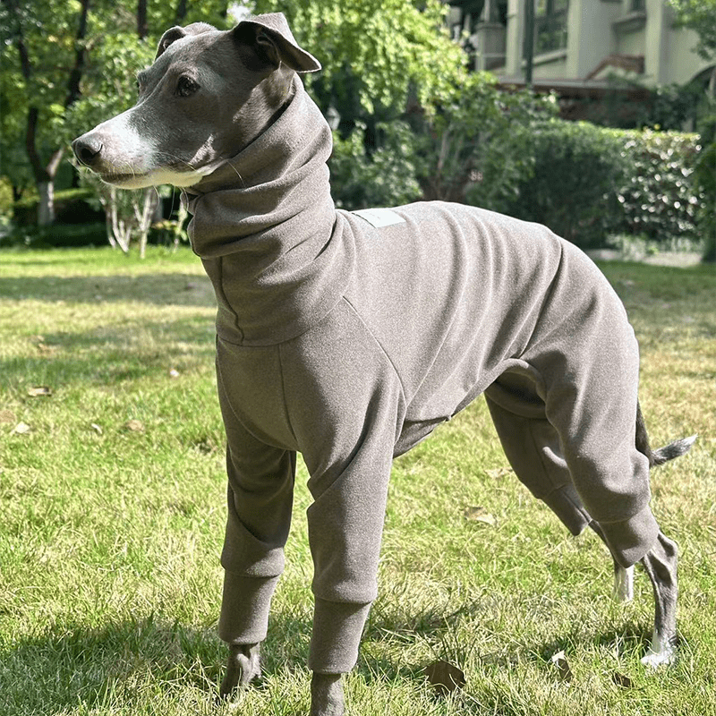 Fleece Warm Italian Greyhound Dog Onesies