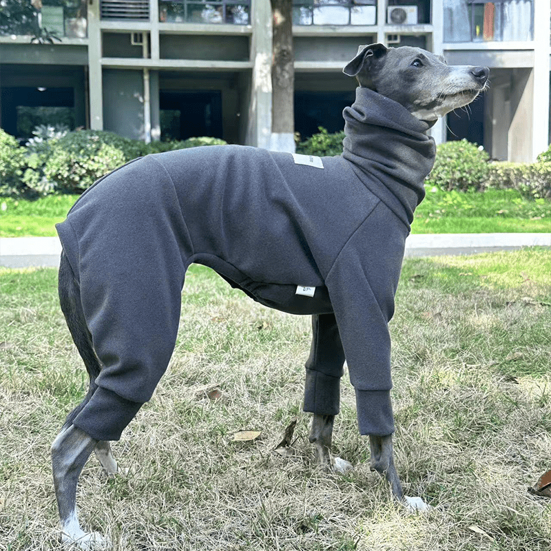 Fleece Warm Italian Greyhound Onesies