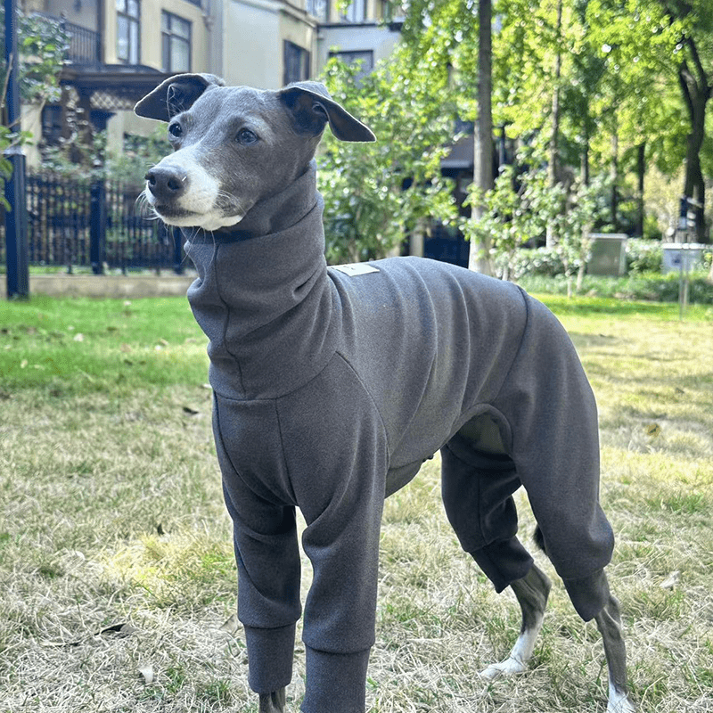 Fleece Warm Italian Greyhound Onesies