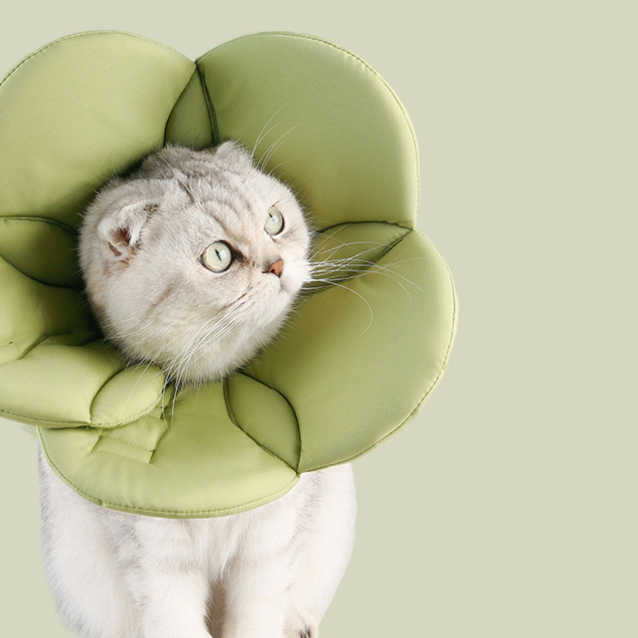 Adjustable Soft Flower Pet Cone