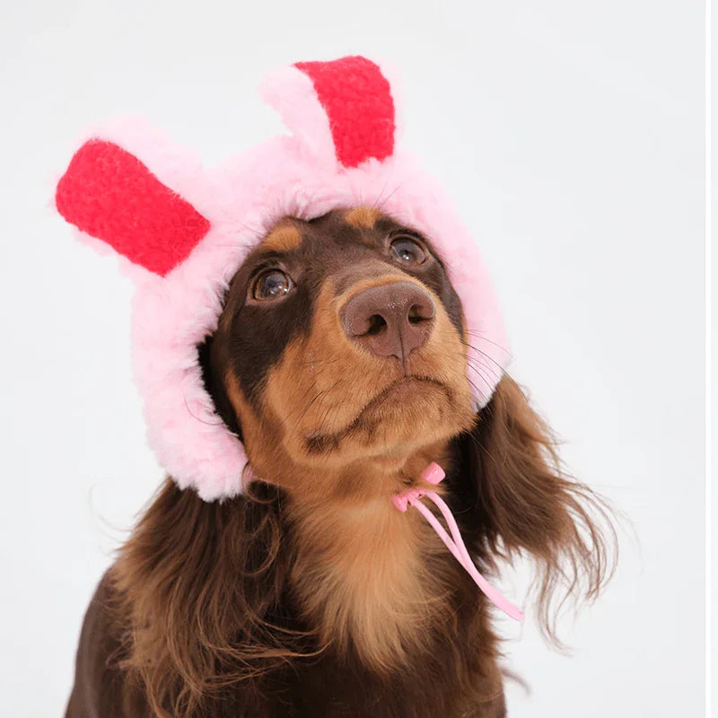Warm Dachshund Bunny Halloween Hat