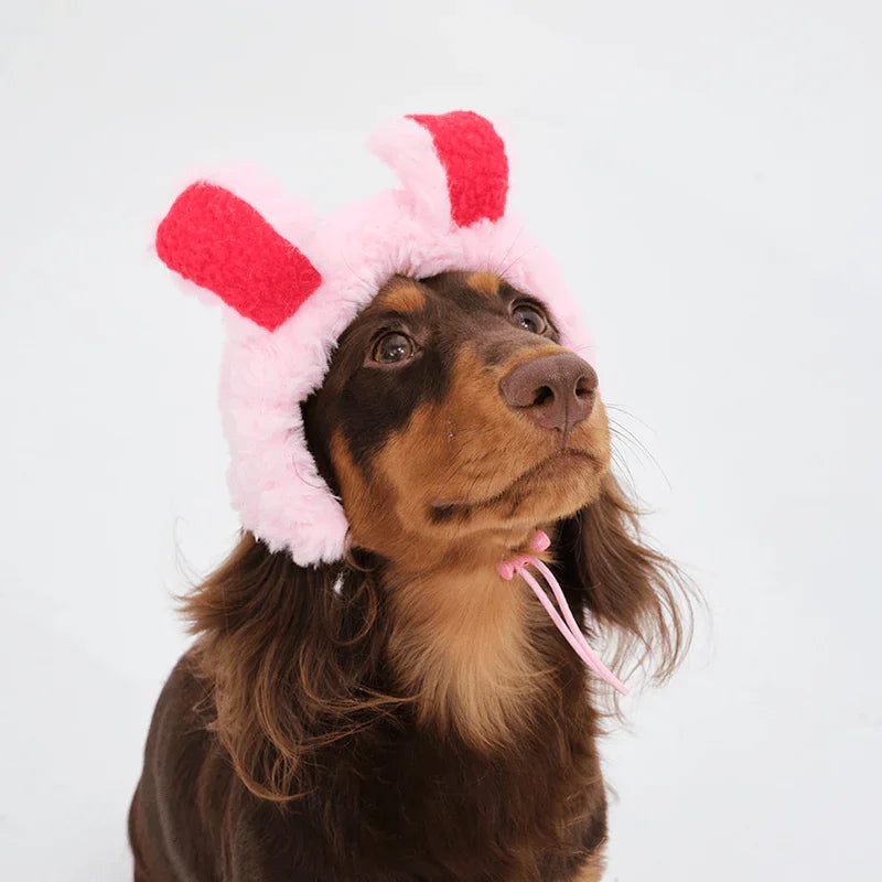 Warm Dachshund Bunny Halloween Hat