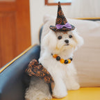 Halloween Dog Costume Witch Cloak