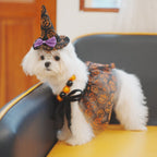 Halloween Dog Costume Witch Cloak