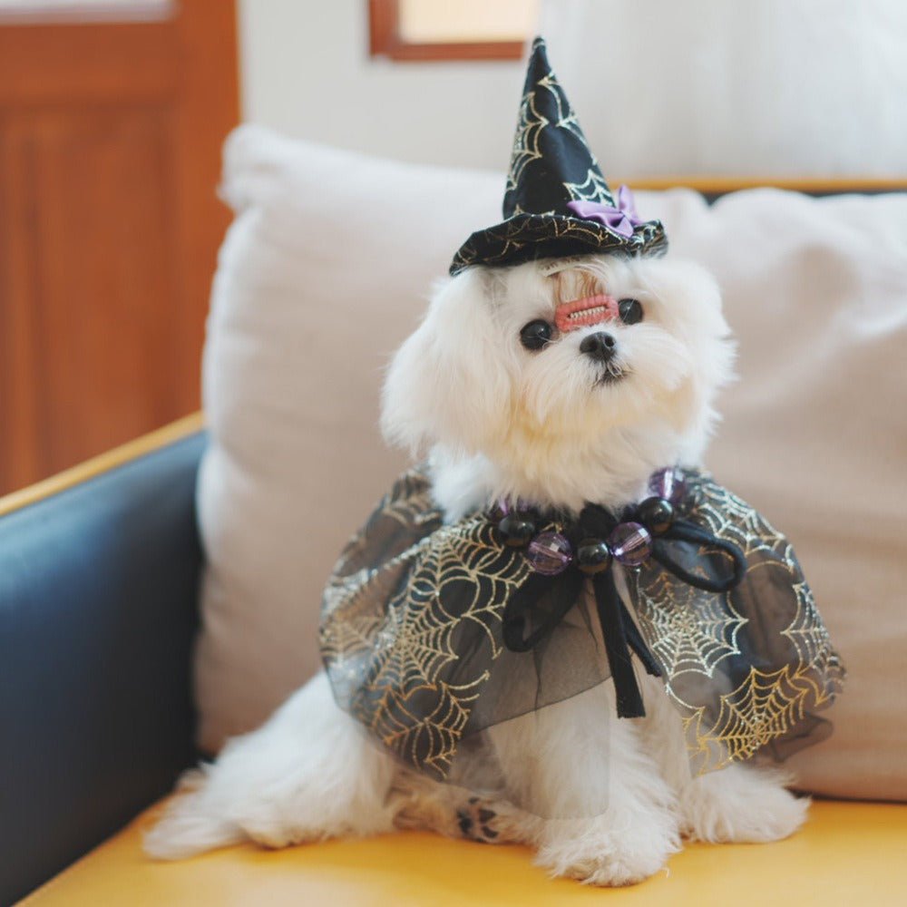 Halloween Dog Costume Witch Cloak