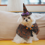 Halloween Dog Costume Witch Cloak