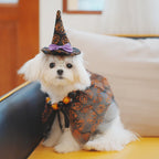 Halloween Dog Costume Witch Cloak