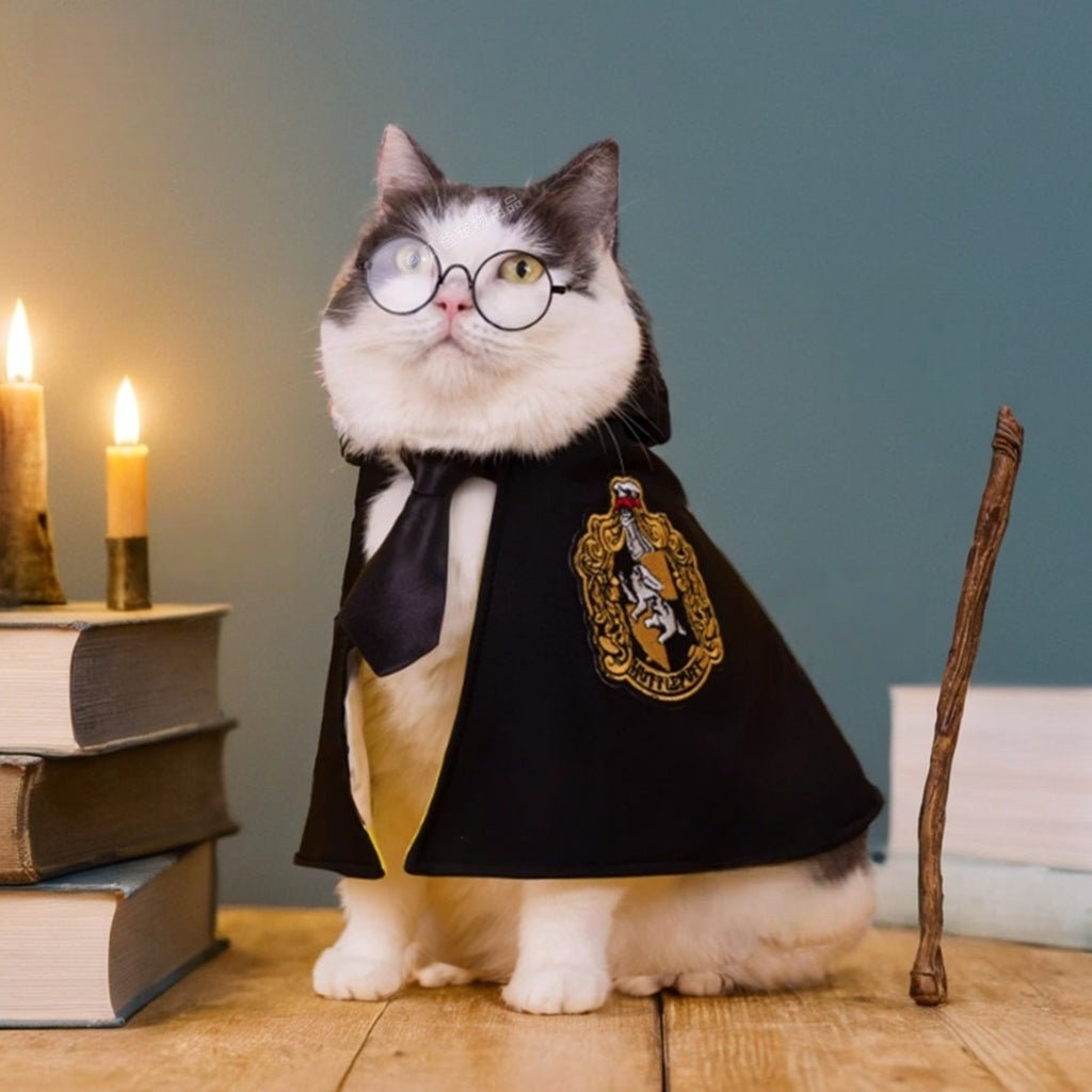 Enchanting Cat Magic Cape Harry Potter