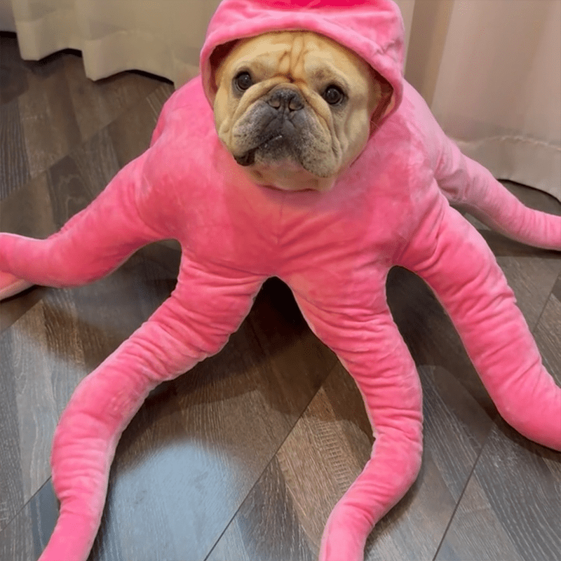 Plush Halloween Dog Costume