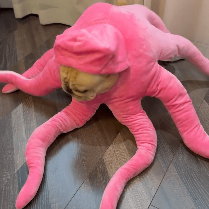 Plush Halloween Dog Costume