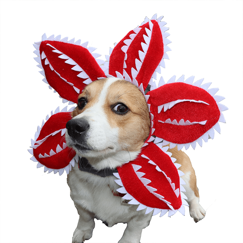 Funny Piranha Plant Dog Headpiece