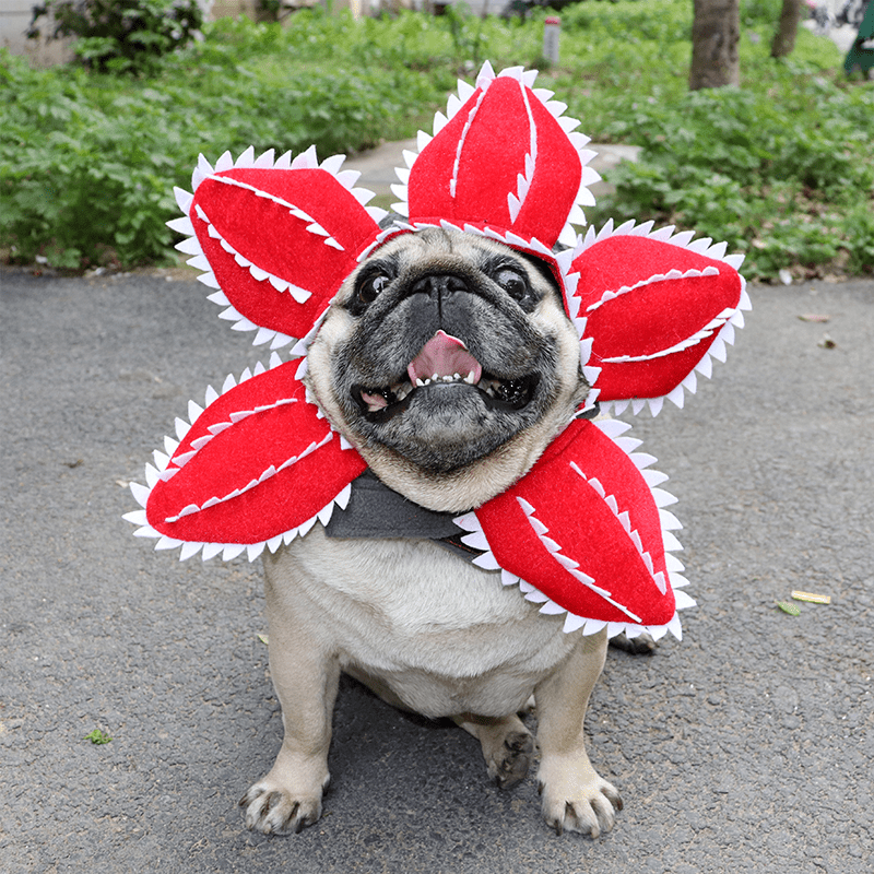 Funny Piranha Plant Dog Headpiece