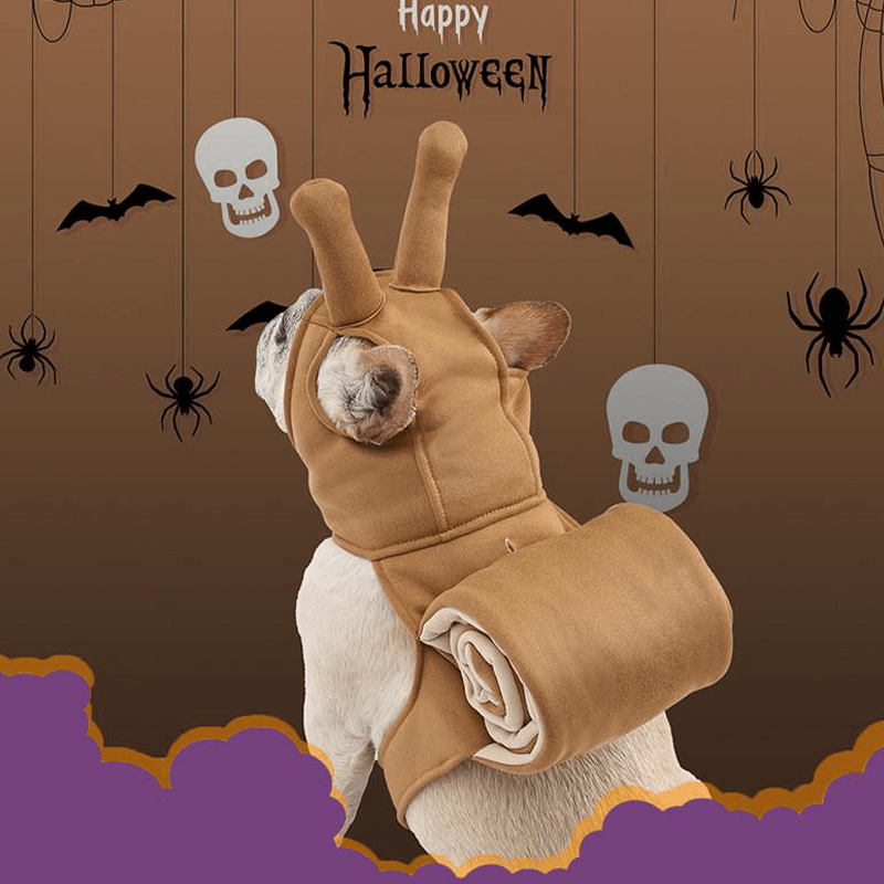 Comfortable Halloween Snail Pet Costume