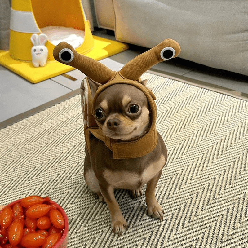 Comfortable Halloween Snail Pet Costume
