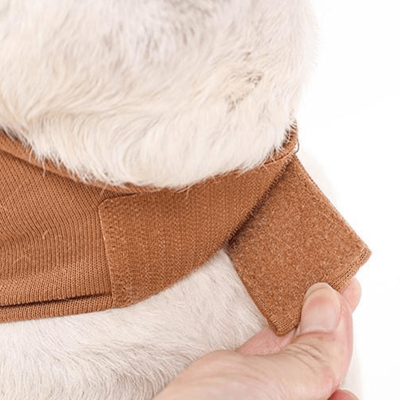 Comfortable Halloween Snail Pet Costume