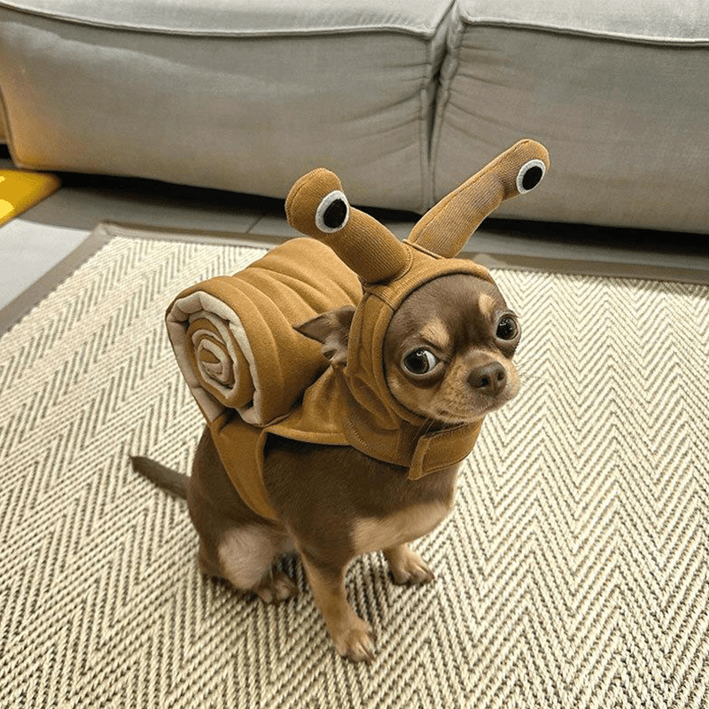 Comfortable Halloween Snail Pet Costume