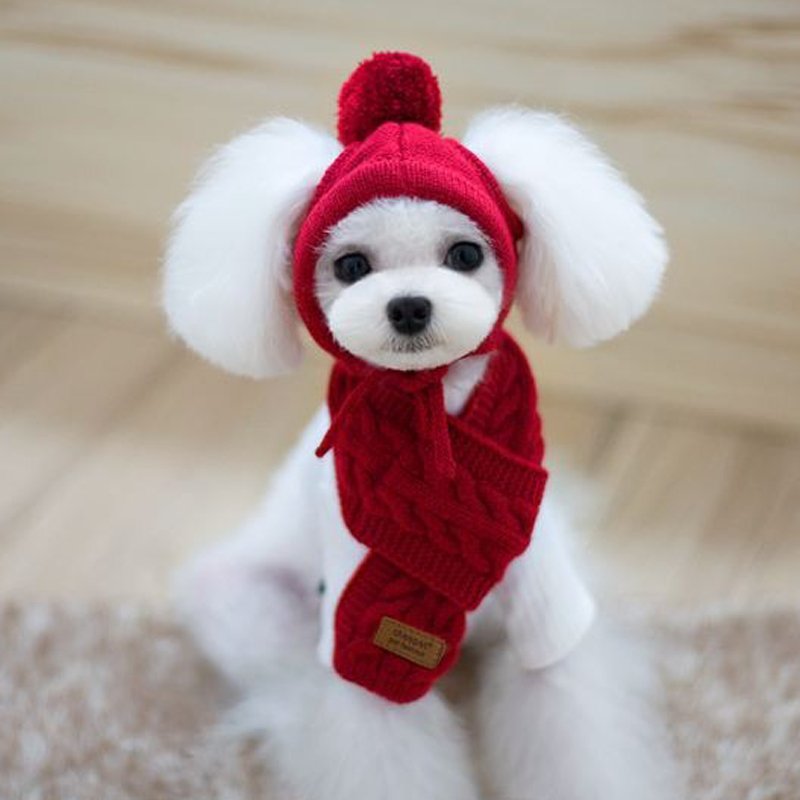Warm Knitted Dog Hat Collar