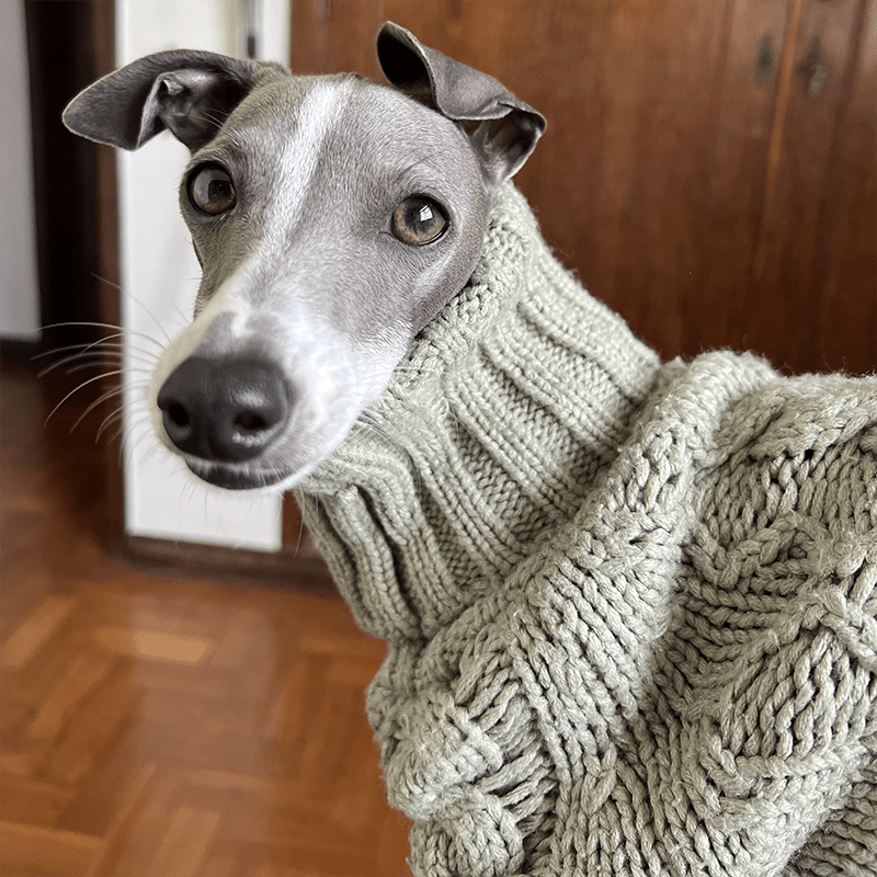 Premium Knitted Greyhound Dog Sweater