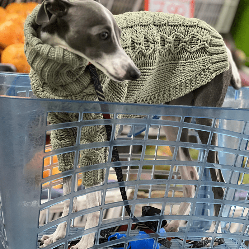 Premium Knitted Greyhound Dog Sweater