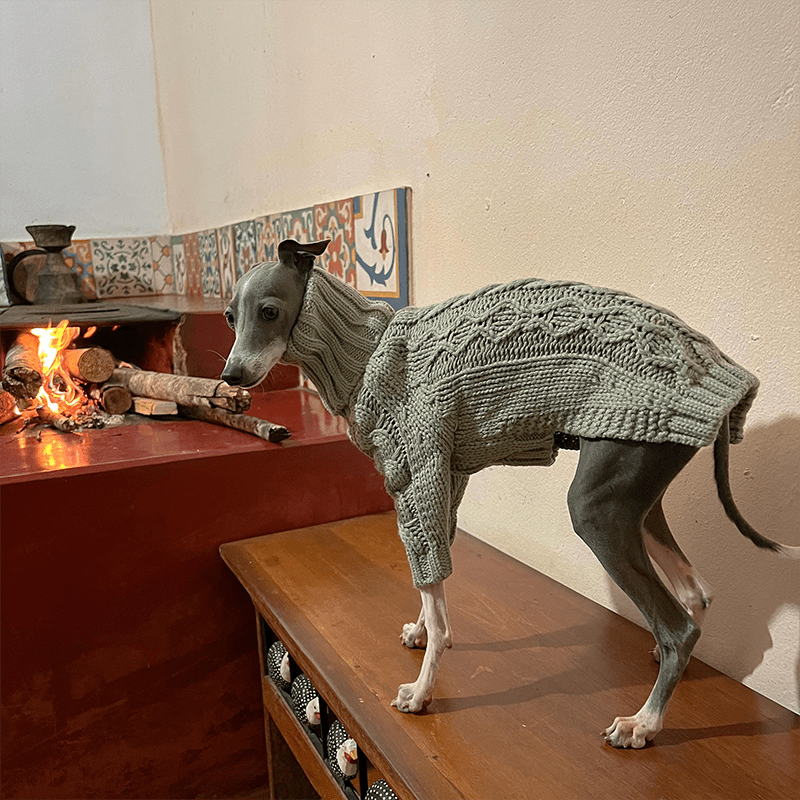 Premium Knitted Greyhound Dog Sweater