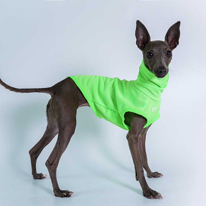 Breathable Sun Protection Whippet Dog Shirt