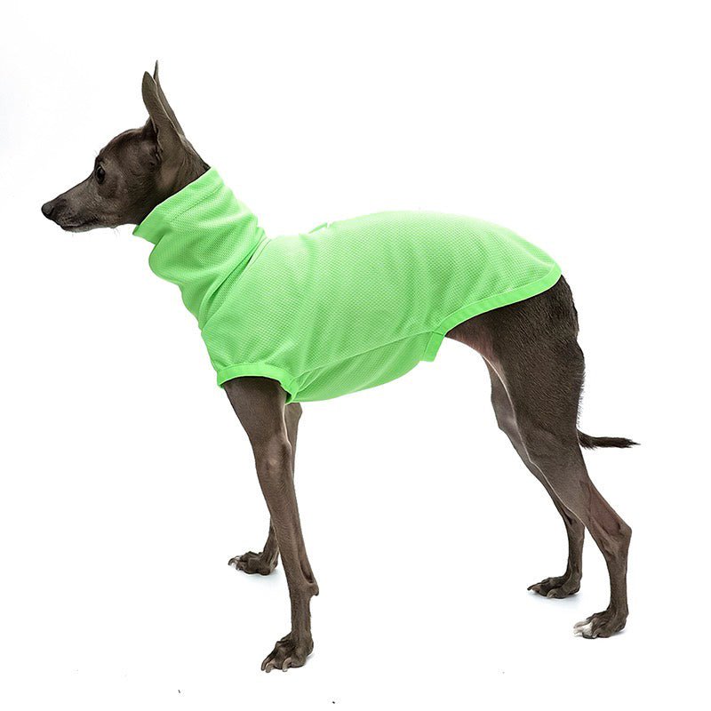 Breathable Sun Protection Whippet Dog Shirt