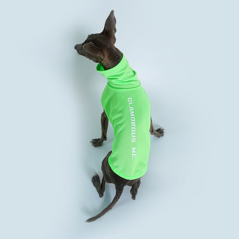 Breathable Sun Protection Whippet Dog Shirt