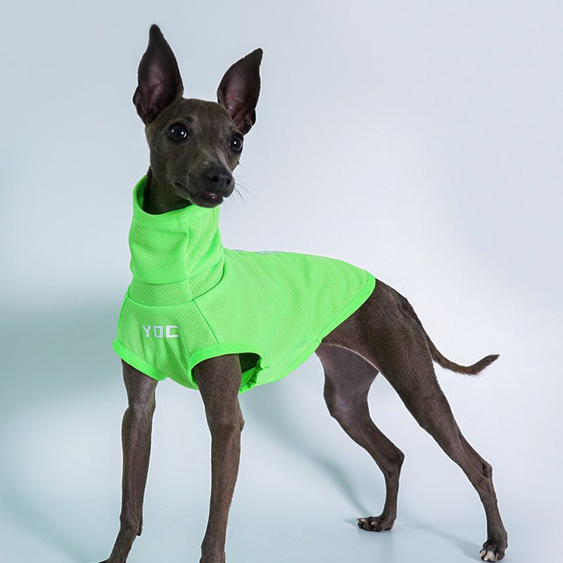 Breathable Sun Protection Whippet Dog Shirt