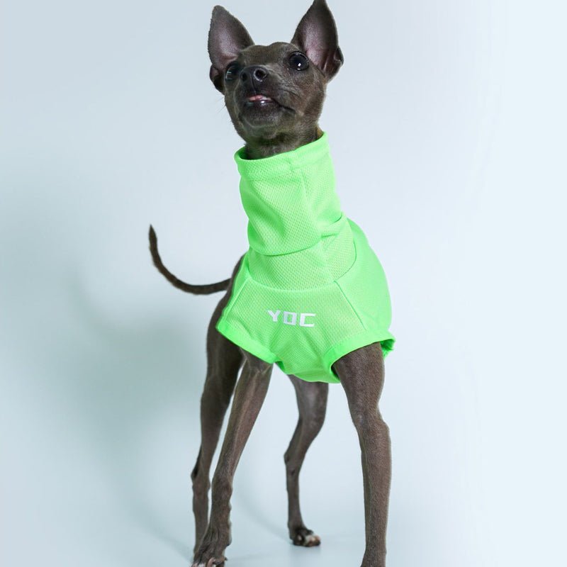 Breathable Sun Protection Whippet Dog Shirt