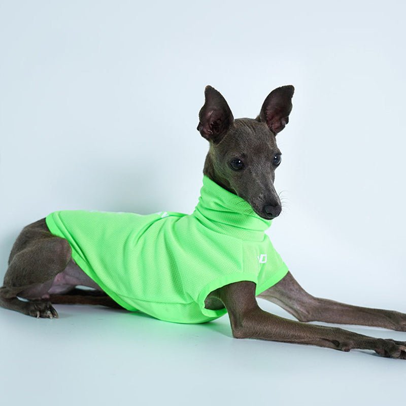 Breathable Sun Protection Whippet Dog Shirt