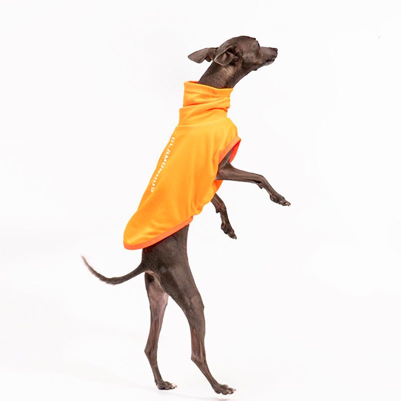 Breathable Sun Protection Whippet Dog Shirt