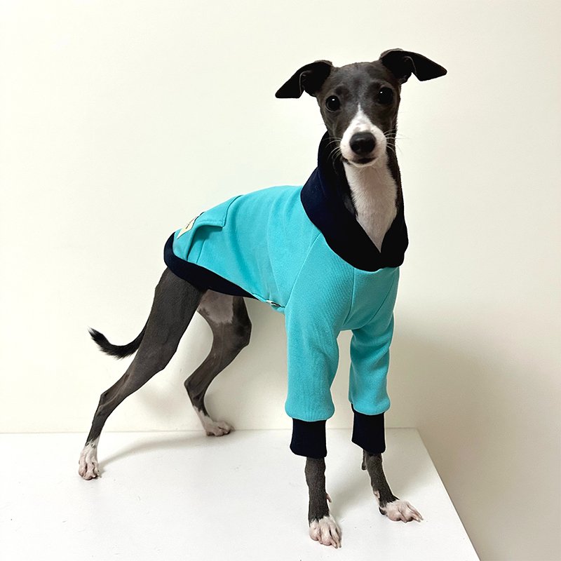 Velvet Warm Italian Greyhound Hoodie
