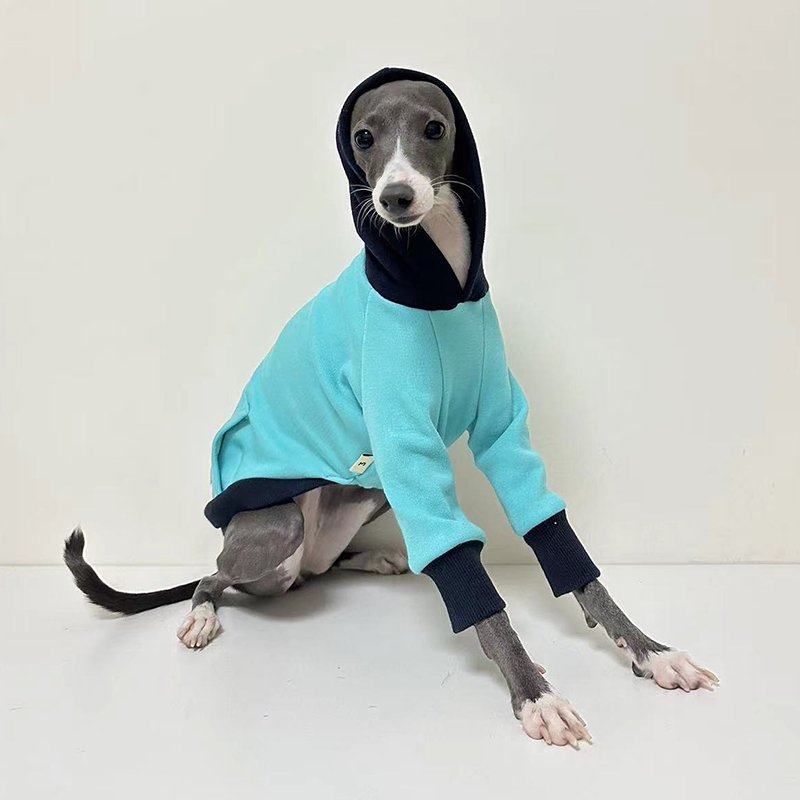 Velvet Warm Italian Greyhound Hoodie