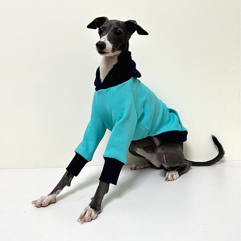 Velvet Warm Italian Greyhound Hoodie